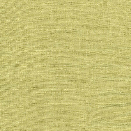Training Day Lime by Carole Fabric Laguna 92% Polyester, 8% Cotton INDIA N/A None 54"  - Fabric Carolina -
