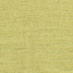 Training Day Lime by Carole Fabric