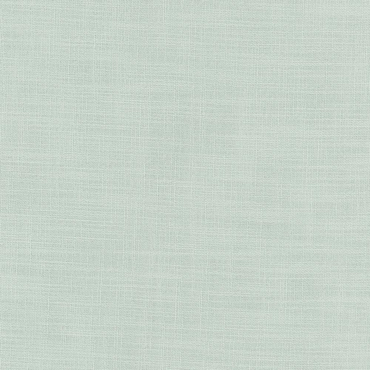 Fundamental Mineral by Carole Fabric Fundamental 100% Polyester Turkey Passes 20,000 Double Rubs Wyzenbeek Horizontal: 0 and Vertical: 0 54 - Fabric Carolina -