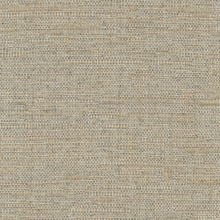 Cliff Top Bronze by Carole Fabric Excursion 66% Polyester, 34% Cotton India 36,000 Wyzenbeek Double Rubs Horizontal: 0 and Vertical: 0 56 - Fabric Carolina -