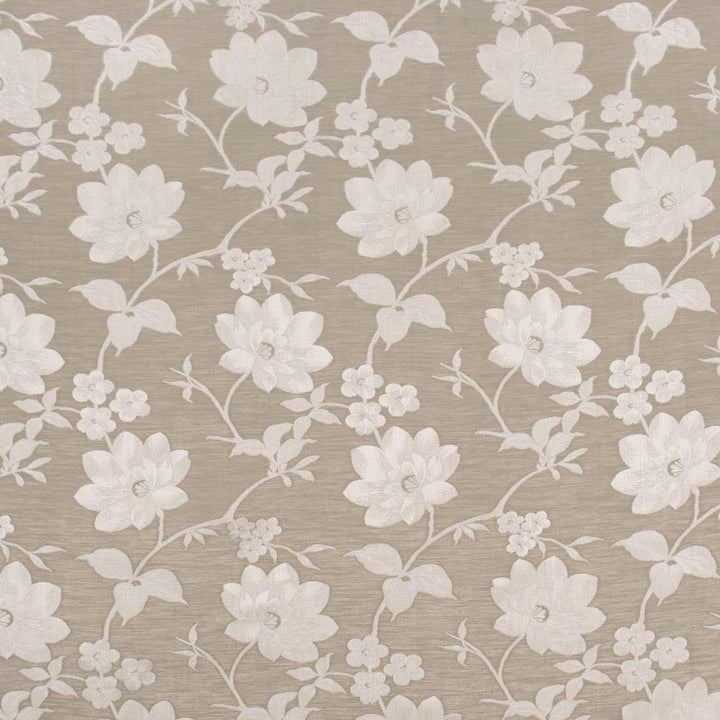 Proper Pose Latte by Carole Fabric Coconut Cream 67% Polyester, 33% Cotton India Passes 30,000 Double Rubs Wyzenbeek Horizontal: 1375 and Vertical: 135 54 - Fabric Carolina -