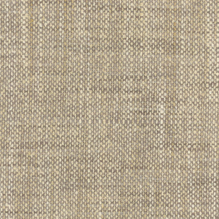 El Sol Flannel by Carole Fabric Head Start,Power Play 100% Polyester N/A None 55" - Fabric Carolina -
