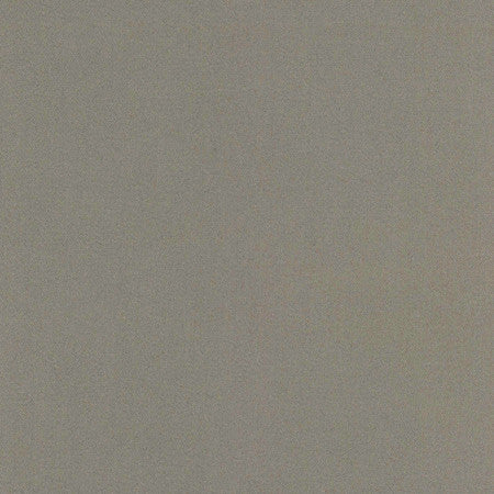 Comfort Shale by Carole Fabric Daydreaming 100% Cotton India Passes 21,000 Double Rubs Wyzenbeek Horizontal: None and Vertical: None 54" - Fabric Carolina -