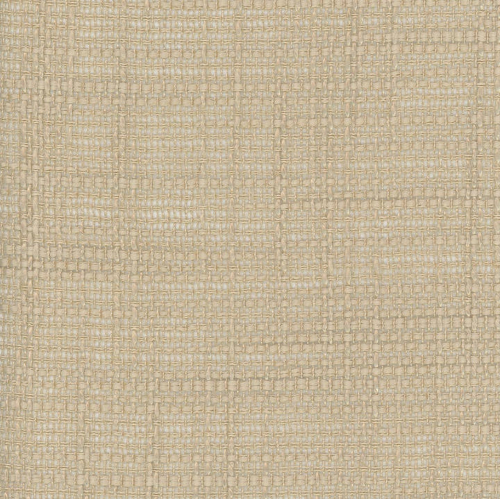Super Easy Nugget by Carole Fabric Come Home 100% Polyester India N/A Horizontal: 0 and Vertical: 0 54 - Fabric Carolina -