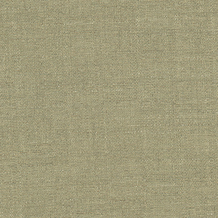 Cortland Evergreen by Carole Designer Fabric Gala 100% Polyester India 30,000 WYZENBEEK DOUBLE RUBS None 54.75" - Swanky Fabrics -