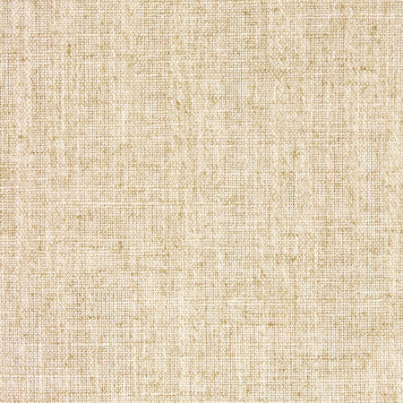 <p>Critic Natural by Carole Designer Fabric</p><p><strong>Required Minimum Quantity Purchase: 2 yards</strong></p><p>Book: Toasted Almond,Tuscan Sun</p><p>Content: 85% Polyester, 15% Linen</p><p>Origin: </p><p>Performance: N/A</p><p>Repeat: None</p><p>Width: 54"</p>