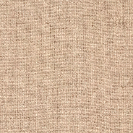 Gusto Musk by Carole Fabric Power Play 100% Polyester N/A None 55" - Fabric Carolina -