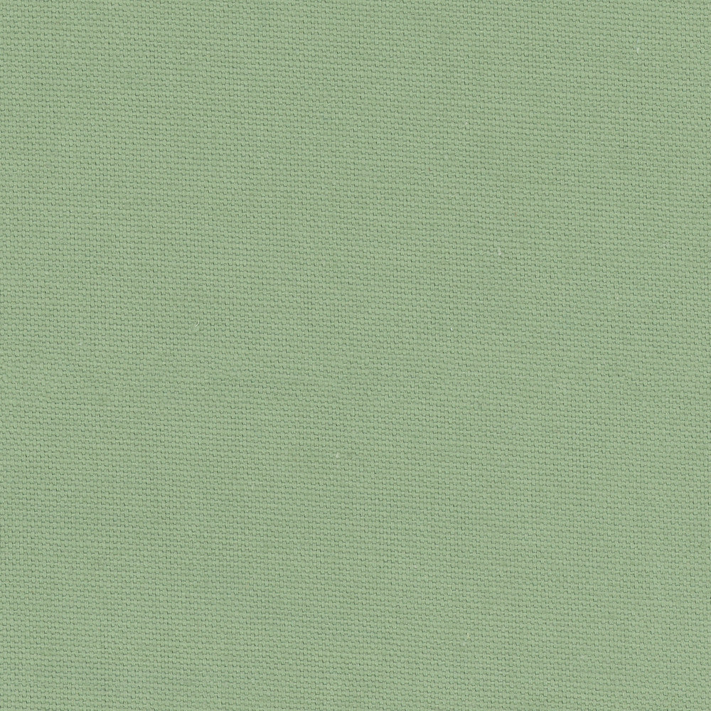 Daydreamer Seafoam by Carole Fabric Daydreaming 100% Cotton- Soil Release USA Passes 30,000 Double Rubs Wyzenbeek Horizontal: 0 and Vertical: 0 54 - Fabric Carolina -