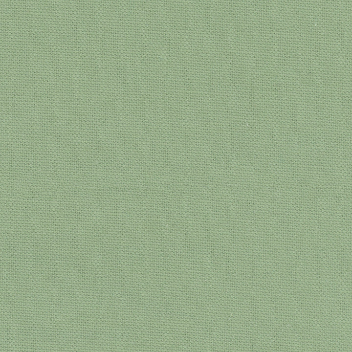 Daydreamer Seafoam by Carole Fabric Daydreaming 100% Cotton- Soil Release USA Passes 30,000 Double Rubs Wyzenbeek Horizontal: 0 and Vertical: 0 54 - Fabric Carolina -