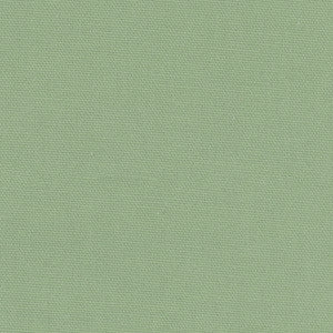 Daydreamer Seafoam by Carole Fabric