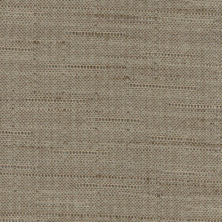 Banksville Mushroom by Carole Fabric Bigelow 100% Polyester Mexico Passes 18,000 Double Rubs Wyzenbeek Horizontal: 0 and Vertical: 0 54 - Fabric Carolina -