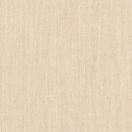 Grateful Flax by Carole Designer Fabric Grateful 70% Viscose, 30% Linen India None 55.5" - Swanky Fabrics -