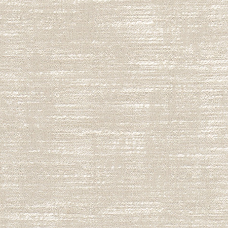 Theo Dove Grey by Carole Fabric Let's Mingle 60% Polyester, 40% Cotton India  None 54"  - Fabric Carolina -