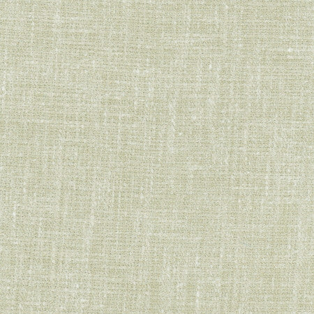 Inner Child Cactus by Carole Fabric Celadon 66% Polyester, 21% Cotton, 13% Linen India Passes 15,000 Double Rubs Wyzenbeek </p><p>Repeat: None 54" - Fabric Carolina -