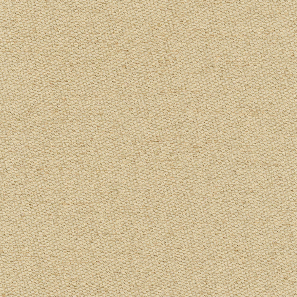 Fact Finder Desert by Carole Fabric Chestnut 100% Polyester Turkey Passes 40,000 Double Rubs Wyzenbeek Horizontal: 0 and Vertical: 0 59 - Fabric Carolina -