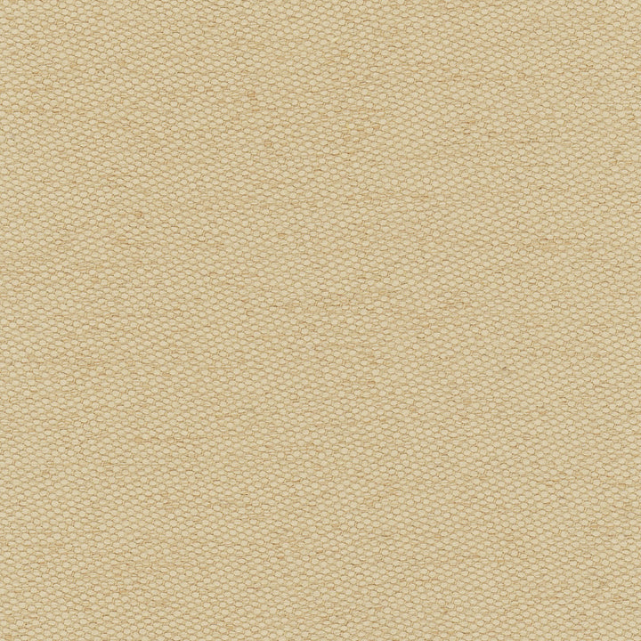 Fact Finder Desert by Carole Fabric Chestnut 100% Polyester Turkey Passes 40,000 Double Rubs Wyzenbeek Horizontal: 0 and Vertical: 0 59 - Fabric Carolina -
