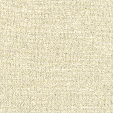 Say Yes Shimmer by Carole Fabric WINNER'S CIRCLE 78% Polyester, 22% Viscose India N/A </p><p>Repeat: None 55" - Fabric Carolina -