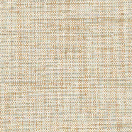 Cliff Top Hemp by Carole Fabric Excursion 66% Polyester, 34% Cotton India 36,000 Wyzenbeek Double Rubs Horizontal: None and Vertical: None 56" - Fabric Carolina -
