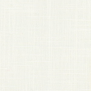 Truth Be Told Ivory by Carole Fabric