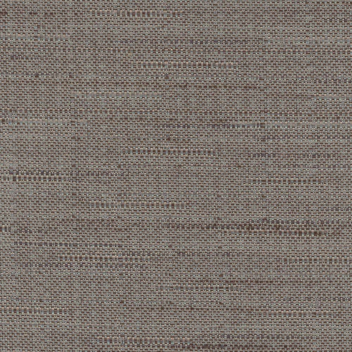 Banksville Flint by Carole Fabric Bigelow 100% Polyester Mexico Passes 18,000 Double Rubs Wyzenbeek Horizontal: 0 and Vertical: 0 54 - Fabric Carolina -