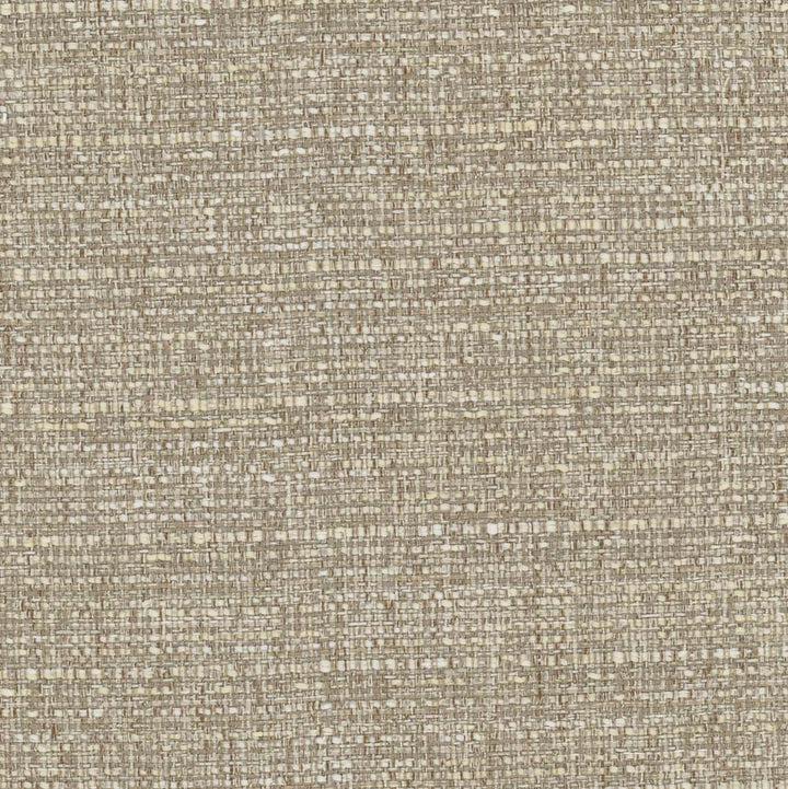 Valhalla Bamboo by Carole Fabric Rodeo 100% Polyester India Passes 30,000 Double Rubs Wyzenbeek Horizontal: 0 and Vertical: 0 55 - Fabric Carolina -