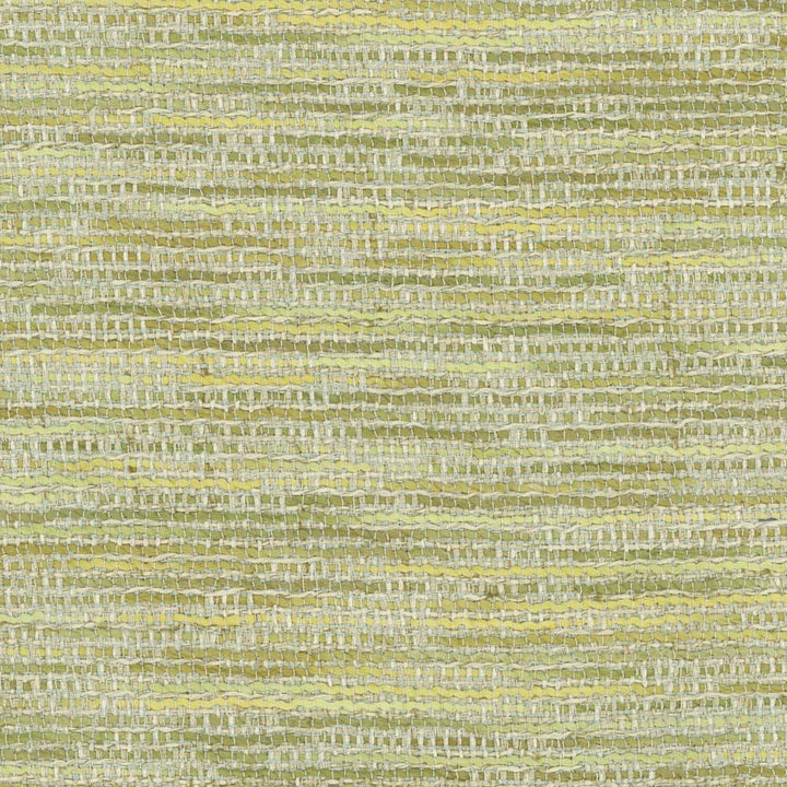 Sound Mind Grassland by Carole Fabric Wintermint 100% Polyester India 100,000 Wyzenbeek Double Rubs Horizontal: 0 and Vertical: 0 54 - Fabric Carolina -