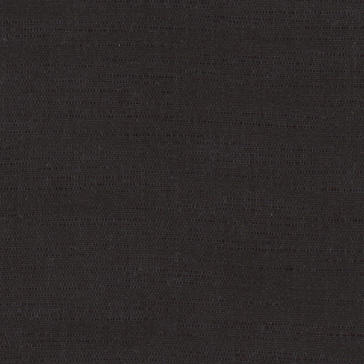 Athlete Black by Carole Fabric Pewter 60% Cotton, 40% Polyester India Passes 50,000 Double Rubs Wyzenbeek Horizontal: 0 and Vertical: 0 55 - Fabric Carolina -