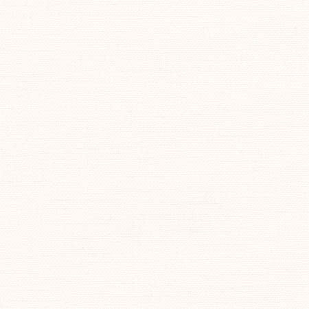 Liberty White by Carole Fabric Liberty,Liberty II 100%  Polyester India  None 54"  - Fabric Carolina -