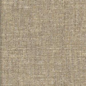 Pop Fly Beige by Carole Fabric