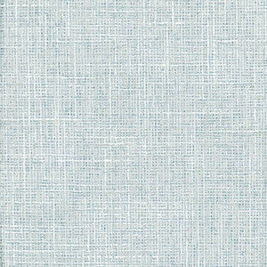 Adjuster Vapor by Carole Fabric