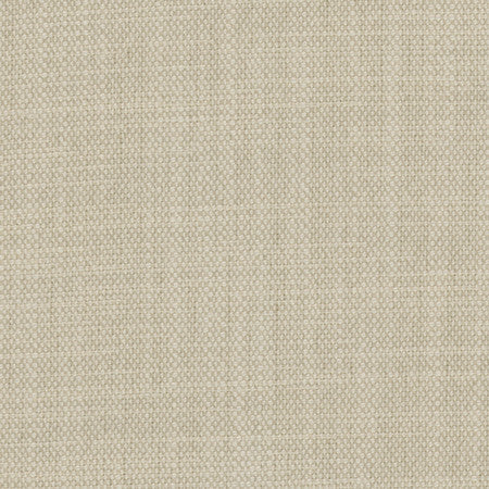Brookings Silver by Carole Designer Fabric Enterprise 100% Polyester India None 55" - Swanky Fabrics -