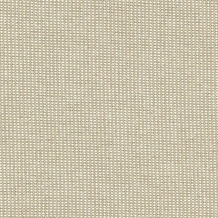Dead Ringer Oyster by Carole Fabric Skyscraper 90% Bamboo, 5% Linen, 5% Zari India N/A Horizontal: 0 and Vertical: 0 54 - Fabric Carolina -