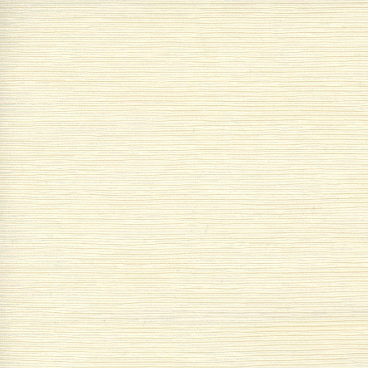 First Novel Eggshell by Carole Fabric Stationery 72% Rayon, 28% Polyester China Passes 30,000 Double Rubs Wyzenbeek Horizontal: 0 and Vertical: 0 55 - Fabric Carolina -