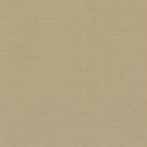 Bassco Beige by Carole Fabric