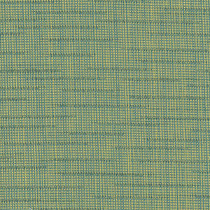 Get On Up Patina by Carole Fabric