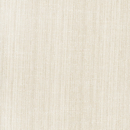 Rock Wall Raffia by Carole Designer Fabric Opal 83% Polyester, 12% Cotton, 5% Rayon India N/A </p><p>Repeat: None 55" - Swanky Fabrics -