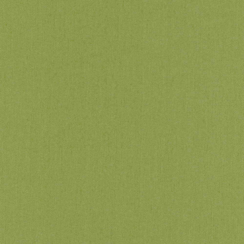 Comfort Grass by Carole Fabric Daydreaming 100% Cotton India Passes 21,000 Double Rubs Wyzenbeek Horizontal: 0 and Vertical: 0 54 - Fabric Carolina -