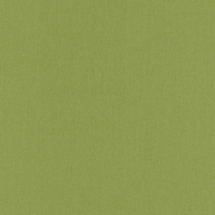 Comfort Grass by Carole Fabric Daydreaming 100% Cotton India Passes 21,000 Double Rubs Wyzenbeek Horizontal: 0 and Vertical: 0 54 - Fabric Carolina -