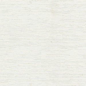 Sparkling Snow Cloud by Carole Fabric