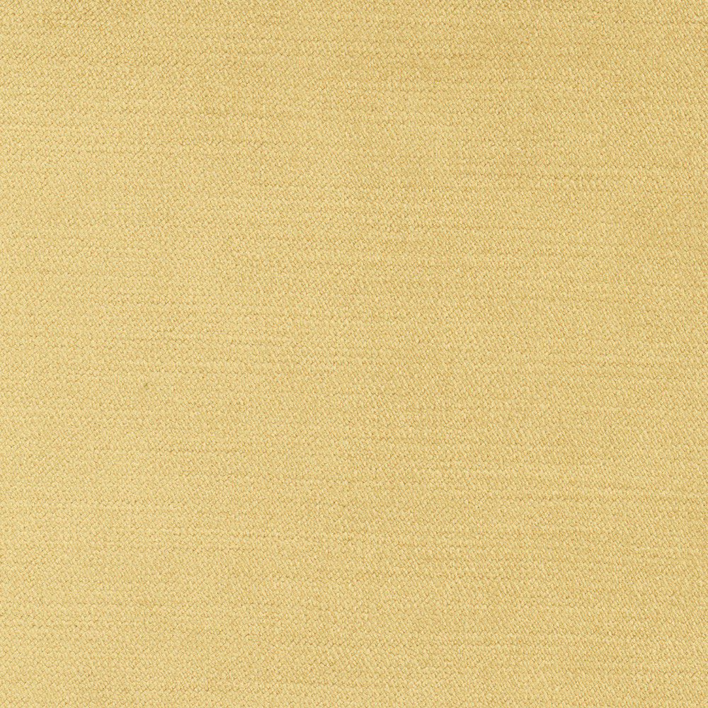 Regal Touch Camel by Carole Fabric Touch Of Luxury 100% Polyester Turkey 15,000 Wyzenbeek Double Rubs Horizontal: 0 and Vertical: 0 55 - Fabric Carolina -