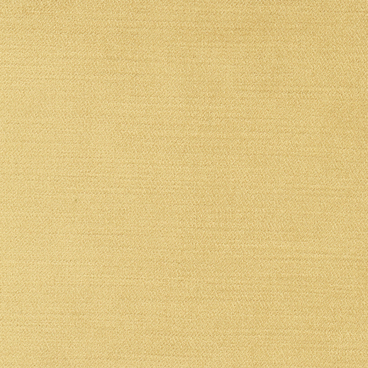 Regal Touch Camel by Carole Fabric Touch Of Luxury 100% Polyester Turkey 15,000 Wyzenbeek Double Rubs Horizontal: 0 and Vertical: 0 55 - Fabric Carolina -