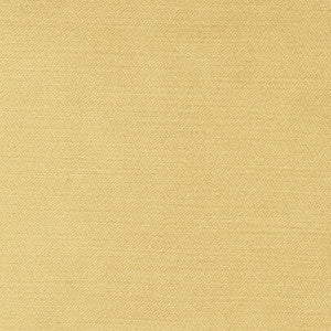 Regal Touch Camel by Carole Fabric