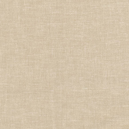Aspire To Natural by Carole Fabric Toasted Almond 65% Polyester, 25% Cotton, 10% Linen INDIA N/A None 54"  - Fabric Carolina -