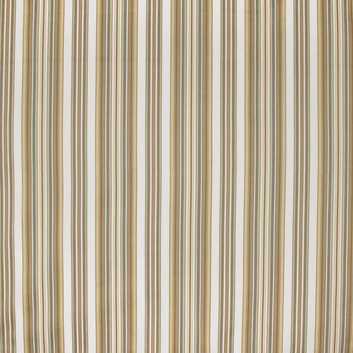 Finishing School Neutral by Carole Fabric Sandalwood 56% Polyester, 44% Cotton India N/A Horizontal: 9 and Vertical: 0 54 - Fabric Carolina -
