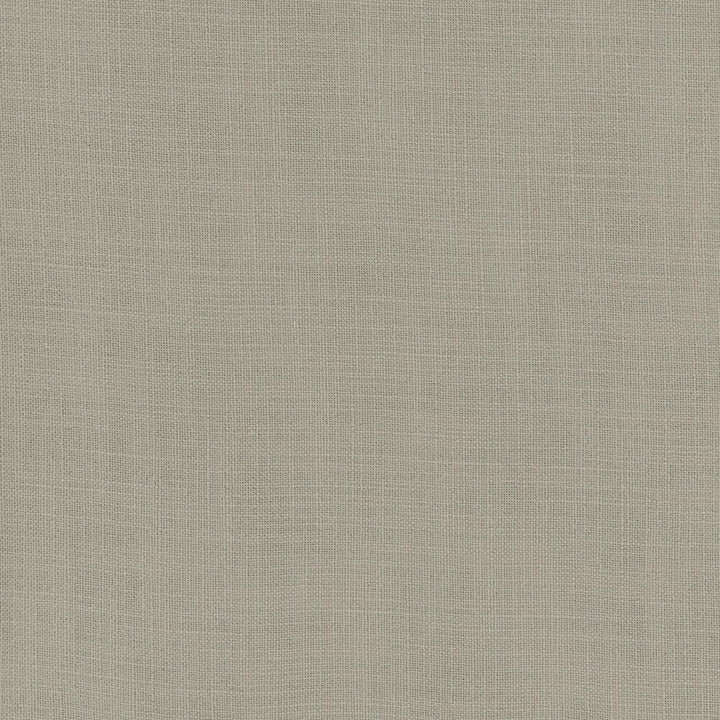 Fundamental Taupe by Carole Designer Fabric Fundamental 100% Polyester Turkey Passes 20,000 Double Rubs Wyzenbeek Horizontal: 0 and Vertical: 0 54 - Swanky Fabrics -