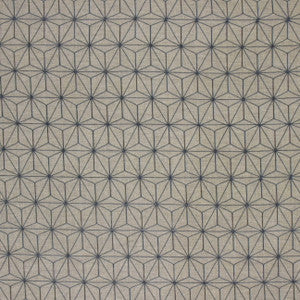 Star Potential Graphite by Carole Fabric