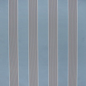 Another Chance Indigo by Carole Fabric