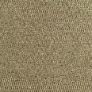 Total Dream Moss by Carole Fabric