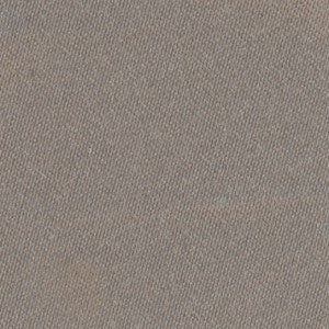 Truth Of Platinum by Carole Fabric