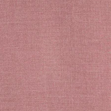Communication Rose by Carole Designer Fabric Power Play 100% Polyester N/A None 58" - Swanky Fabrics -